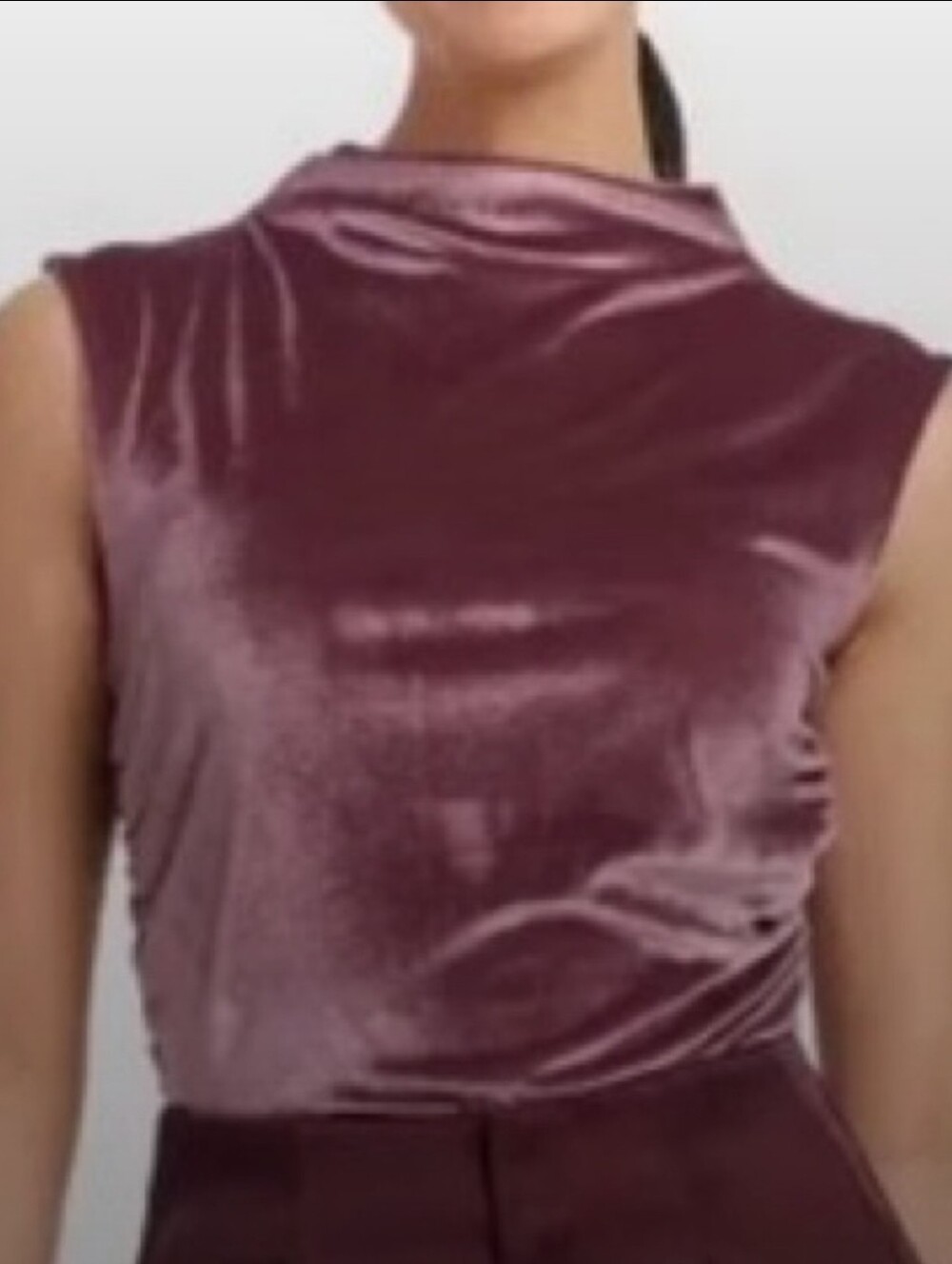 A new day Mauve Velvet Top-Lg